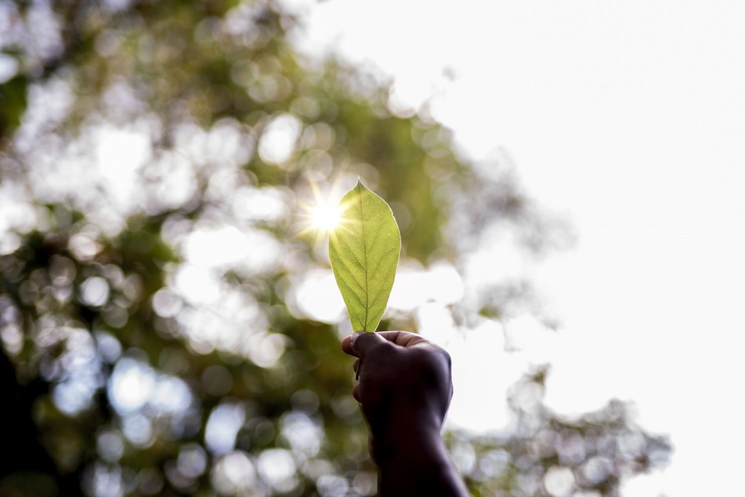 Auditoria Ambiental Preventiva: Por Que Sua Empresa Precisa Fazer Antes de Ser Fiscalizada
