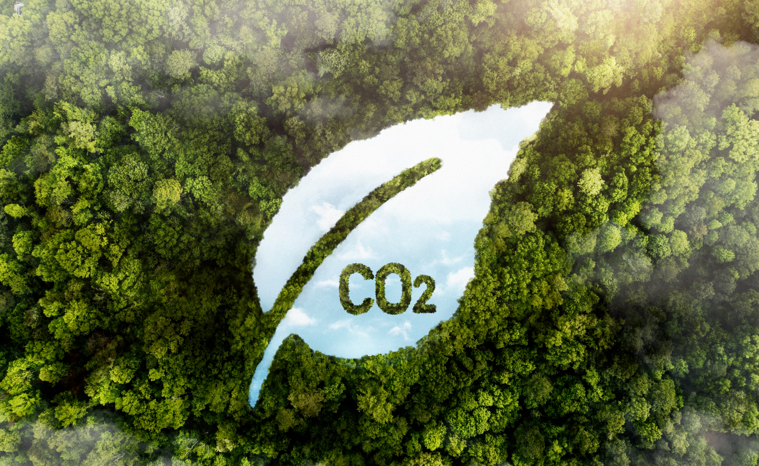 Créditos de Carbono e Pagamento por Serviços Ambientais (PSA): Como o Produtor Rural Pode Lucrar com a Sustentabilidade