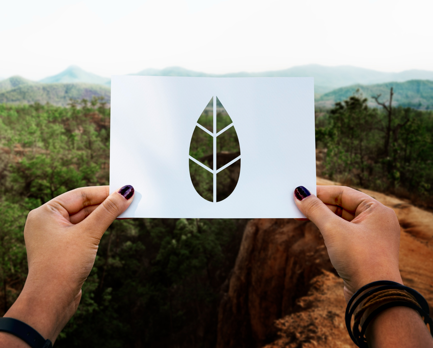 Certificação Ambiental na Agricultura: O Caminho para Mais Valor e Competitividade no Agronegócio