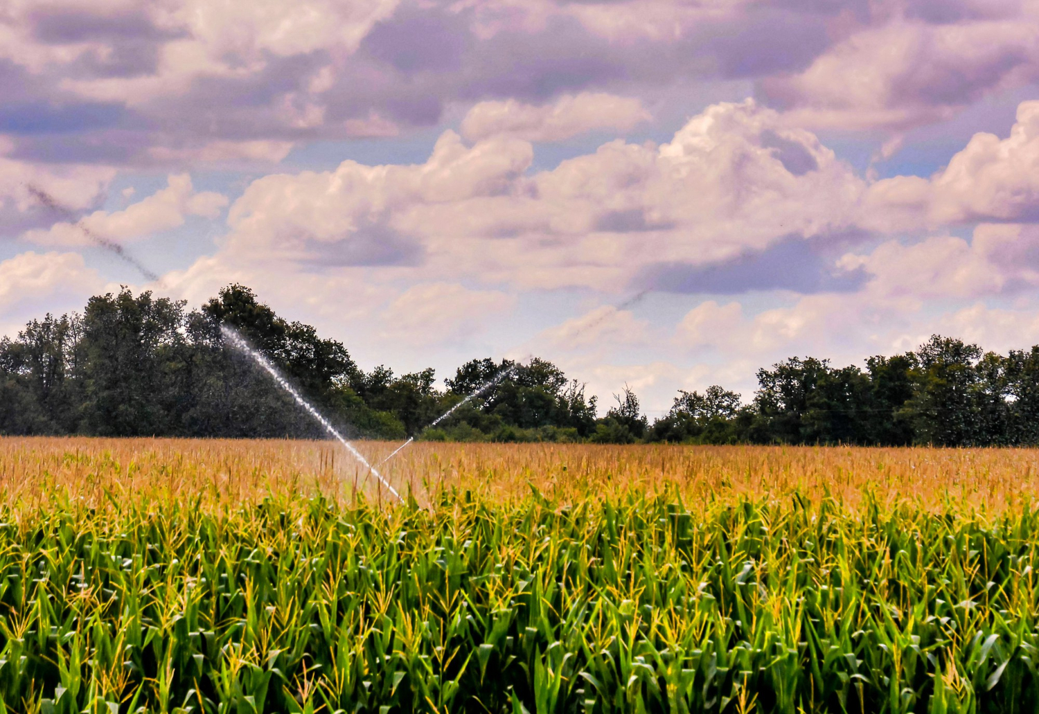 Outorga de Água para Irrigação: Evite Multas e Garanta a Legalidade na sua Produção Rural