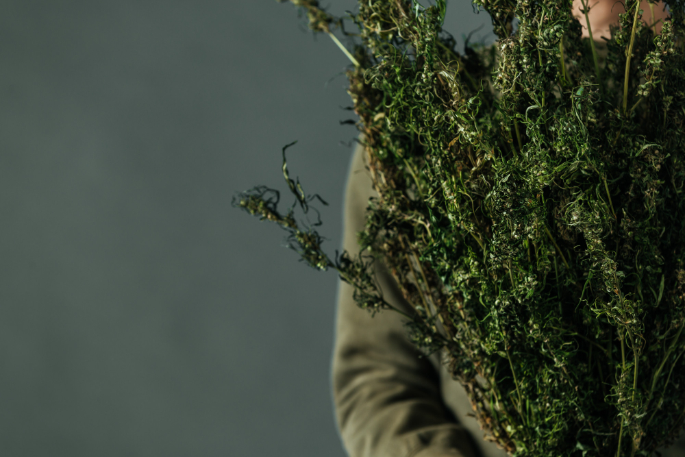 Reserva Legal vs. APP: Qual a Diferença? (Guia Prático para o Proprietário Rural)