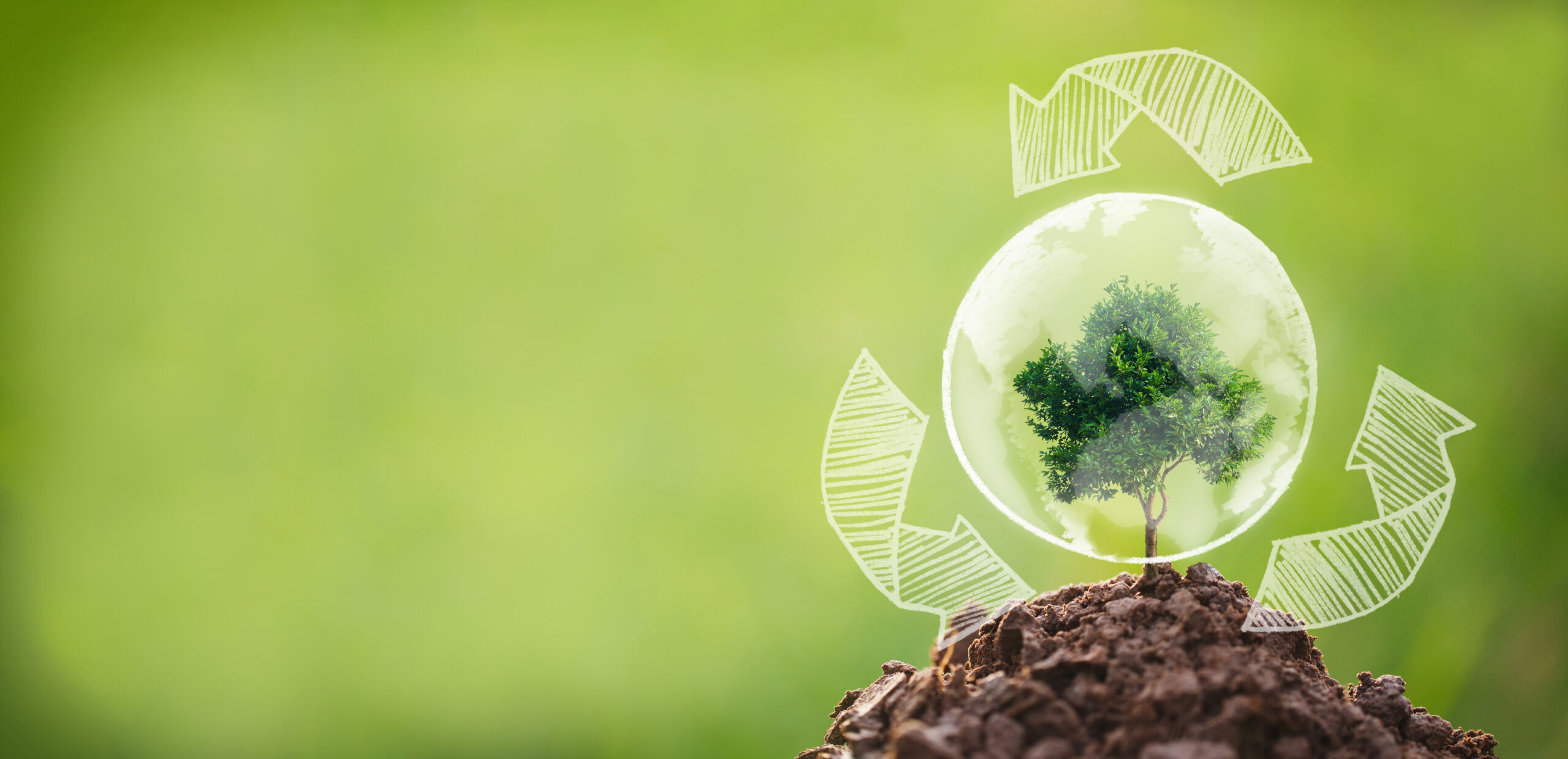 Licenciamento ambiental para empresas